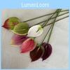 Floral Anthurium Plant Realistic Home Office Decoration Photography Props