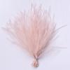 100Pcs Ribbon Tassel Ostrich Feathers Sewing Costuming 10-15cm Feathers Trim DIY Multicolor Loose Plumas Decorativas