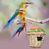 Hummingbird Nest House Bird Nest Natural Grass Contrast Color Hanging Breathable Manully Braided Dry Great Ventilation Heat Dissipation No Deformation