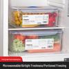 Food Grade Rectangular Plastic Storage Box with Lid - Freezable, Sealable Kitchen & Refrigerator Organizer