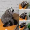 Animal Model Simulation Raccoon Model Realistic Simulation 3D Raccoon Raccoon Figure  Photo Props