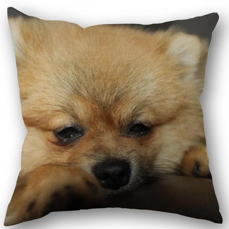 New Custom Pomeranian Dog Pillowcase Cotton Linen Fabric Square Zipper Pillowcase 45X45Cm Wedding Decorative Pillow Cover