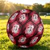 Personalized Size 5 Football Bournemouth Football Pattern Outdoor Game Sports Ball Gift
