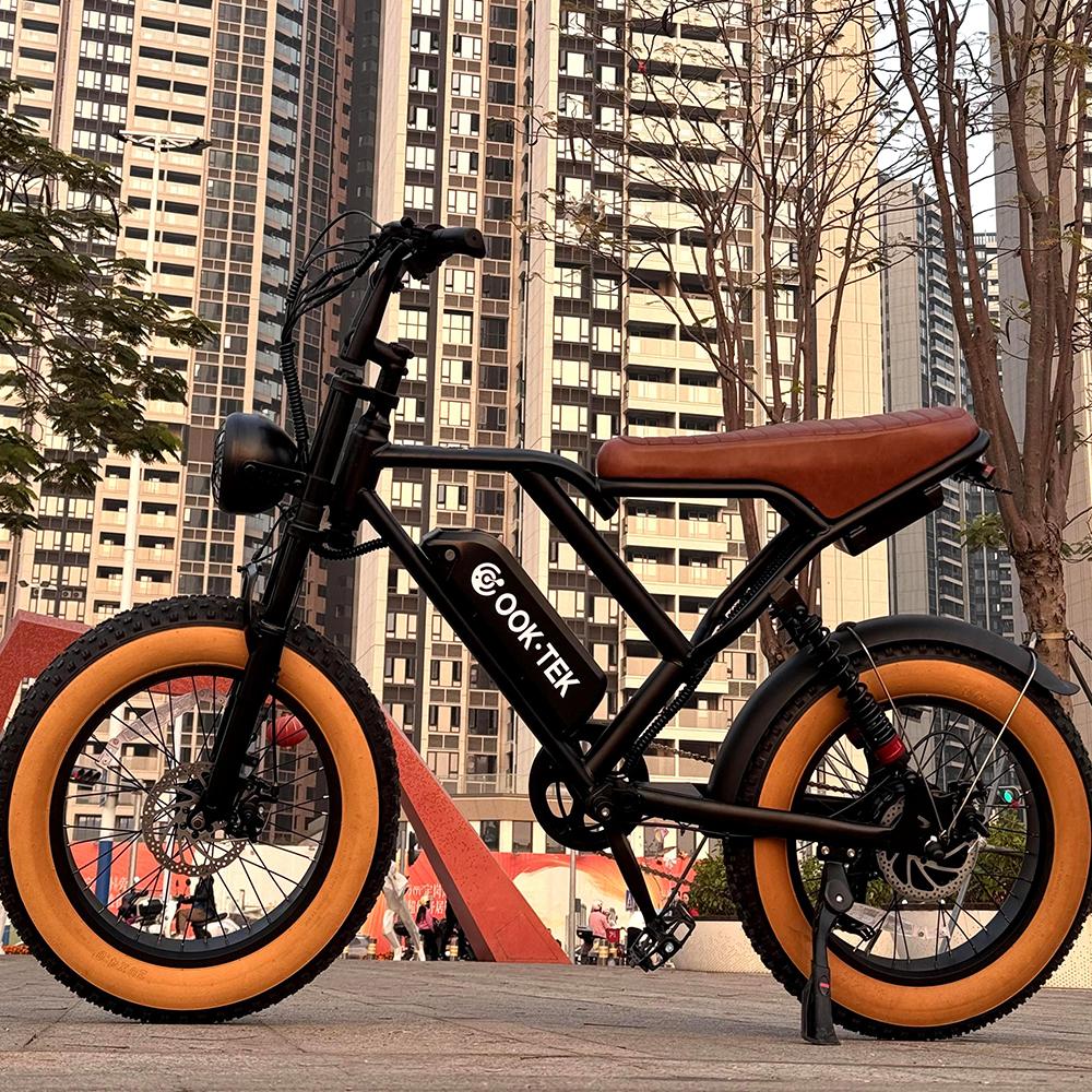 Ebike S8 2000W Dual Motor 48V 25AH 20-inch Fat Tires, Front and Rear Shock Absorption, Adult Electric Bike with Pedals.