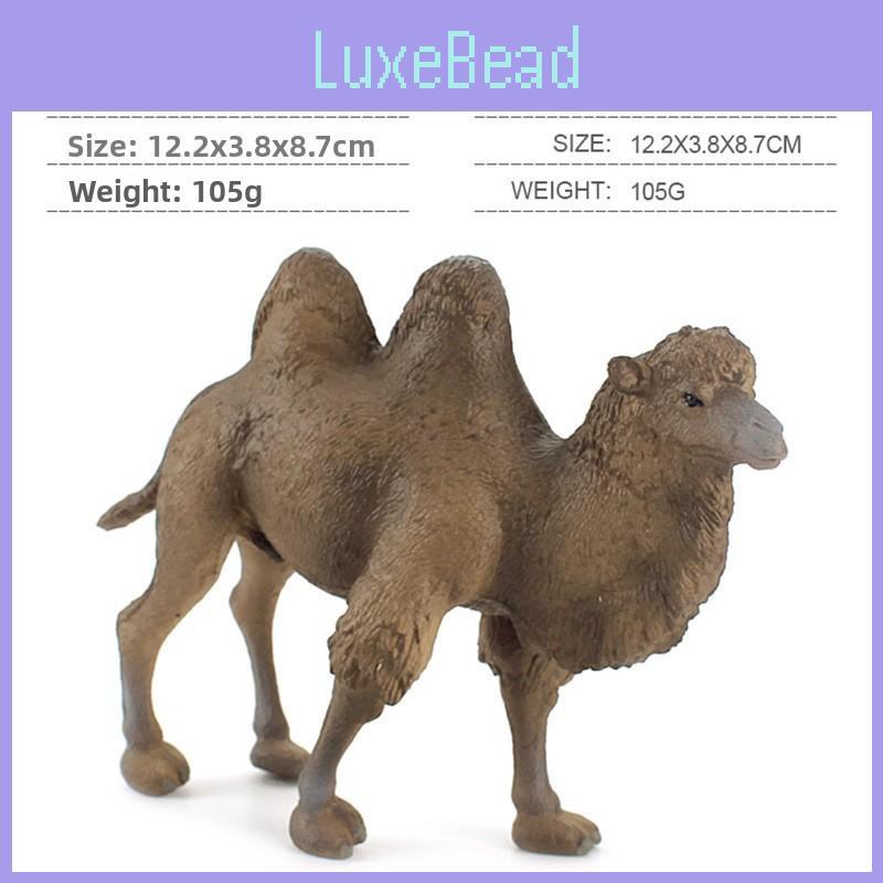 Wüstentier PVC Statische Figuren Für Kinder Lernspielzeug Und Display