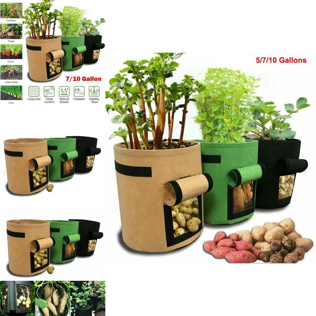 Durable And Reusable 5/7/10 Gallon Vegetable Grow Bags With Convenient Carry Handles
