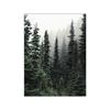 Moderne natuur landschap foto canvas schilderij muur kunst winterlandschap bos herten poster en print voor thuis muur decor foto