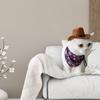 Non-woven Fabric Stylish Pets  Star  Cowboy  Hat Soft Comfortable Adjustable Straps Caps Street