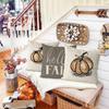 GAGEC Fall Pillow Covers 18x18 Inch Pumpkins Grey Autumn Harvest Hello Fall Throw Pillowcase Holiday Home Decor Sofa Bedroom Cushion Case Outdoor
