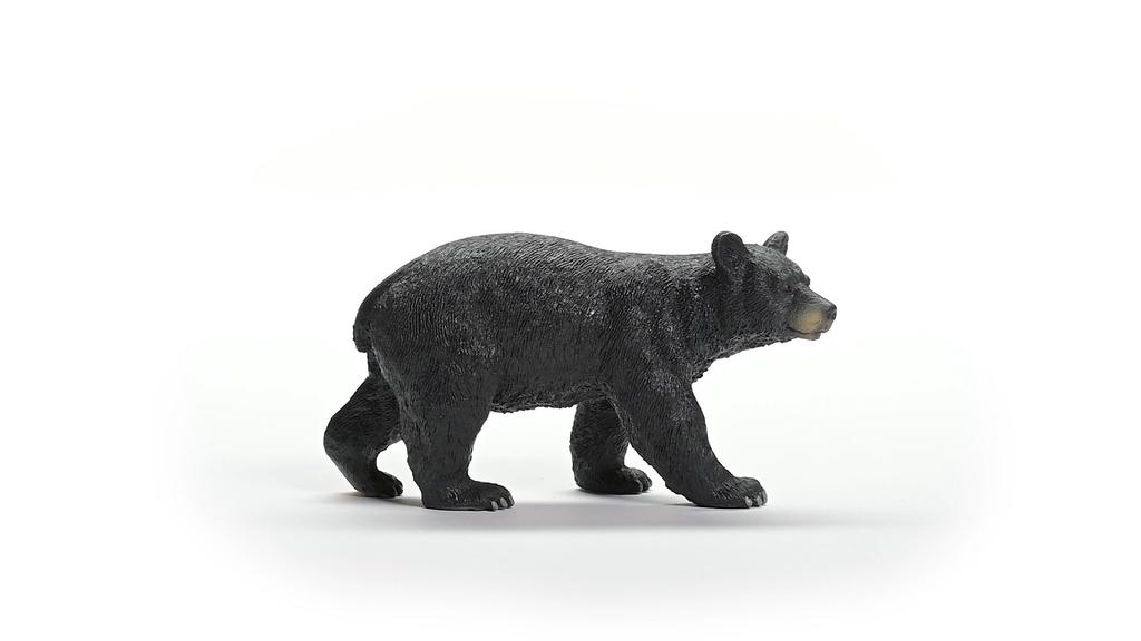 Schleich Wildlife American Black Bear 14869