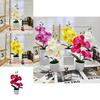 Butterfly Orchid Synthetic Flower With Silk And Plastic Materials For Indoor Events And Photography