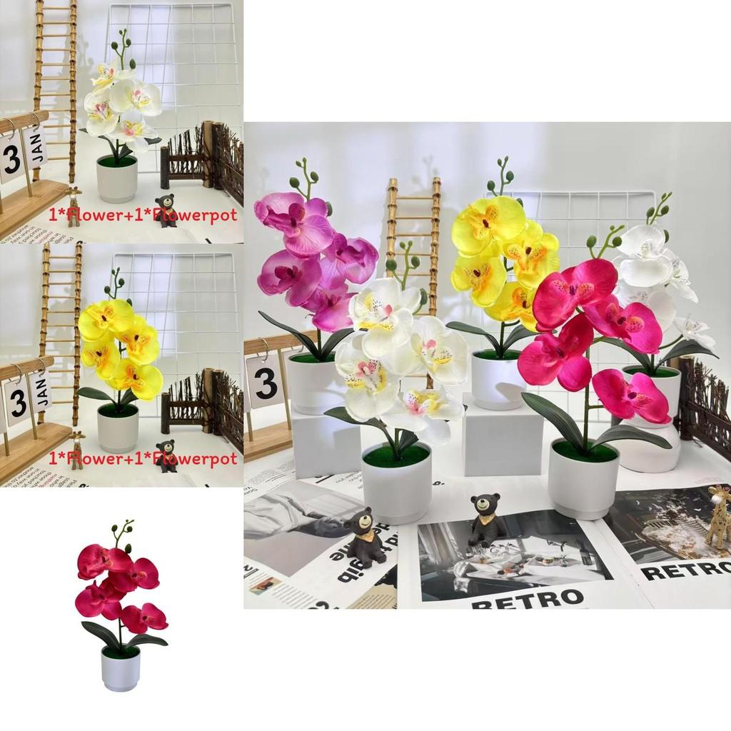 Butterfly Orchid Synthetic Flower With Silk And Plastic Materials For Indoor Events And Photography