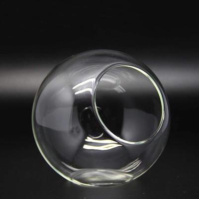 Transparent Slanted Glass Vase for Succulents and Hydroponic Flowers