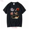 Cottagecore Snail T Shirt Goblincore Goth Grunge Fairycore Clothing Witchy Dark Academia Aesthetic Botanical Art Vintage