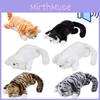 Rolling Cat Plush Toy With Music And Sound For Kids Playroom Entertainment