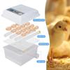 Automatic Egg Incubator 16 Eggs