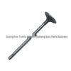 Volvo Intake Valve 31480337/9454607/30684049/30650940/31316318