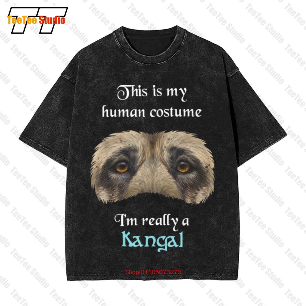 This'S My Human Costume I'M Really A Kangal Vintage Oversized T-Shirt A5IU