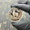 Zodiac Chinezesc Capră 2027 Monedă de Colecție Norocoasă Finisaj Detaliat Suvenir pentru Cadou de Anul Nou Hobby Colecționar