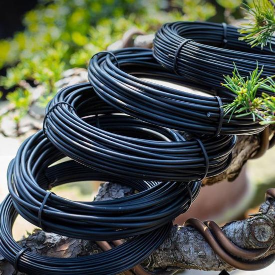 Bonsai Training Aluminum Wire 2.0mm Coated Aluminum Wire 16Ft/33Ft Bonsai Tree Wire for Fine Trunk And Branch Control