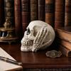 Halloween Totenkopf Figur, Höre Sie Sprich Kein Böses Skelettkopf Statue, Gotische Harz Heimdekoration für Schreibtisch, Bücherregal, Kaminsims, Tischplatte
