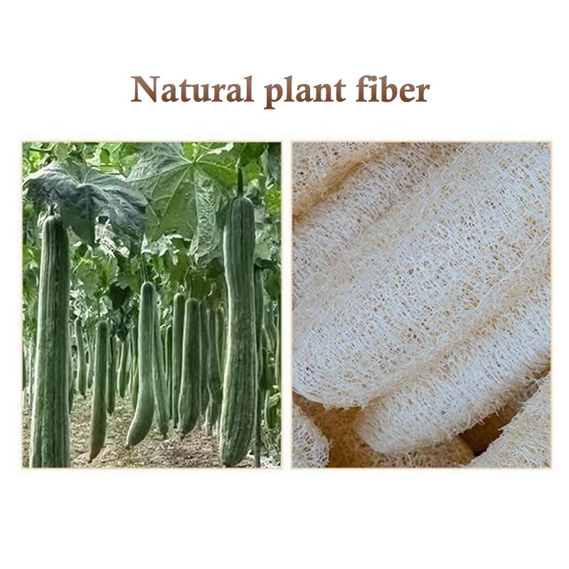Natural Loofah Sponge Soft Bath Sponges Exfoliating Skin Health Cleaning Tool Bath Shower Brushes Unisex Foam Loofah Bath Brushe