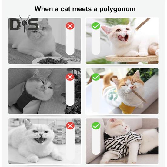 8Pcs Cat Chew Stick Natural Catnip Sticks Teeth Cleaning Chew Toys Kitty Interactive Playtime Snack Sticks for Indoor Cat