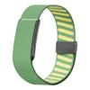 Adjustable Bicep Bands Stretchy Sport Arm Band New Replacement Strap for Whoop 5.0 Fitness Tracker