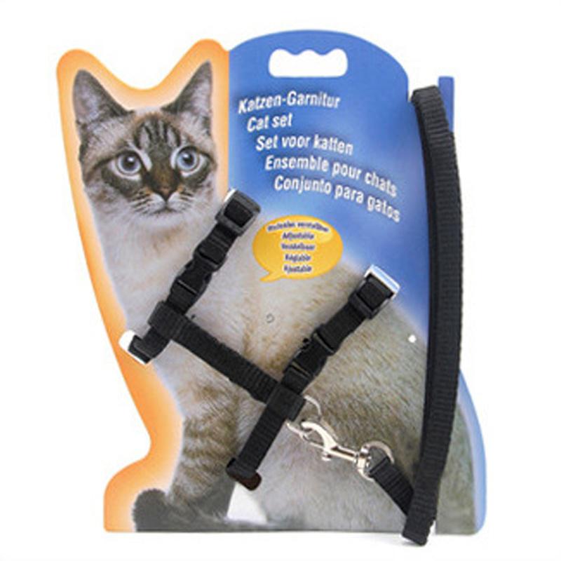 cat lead