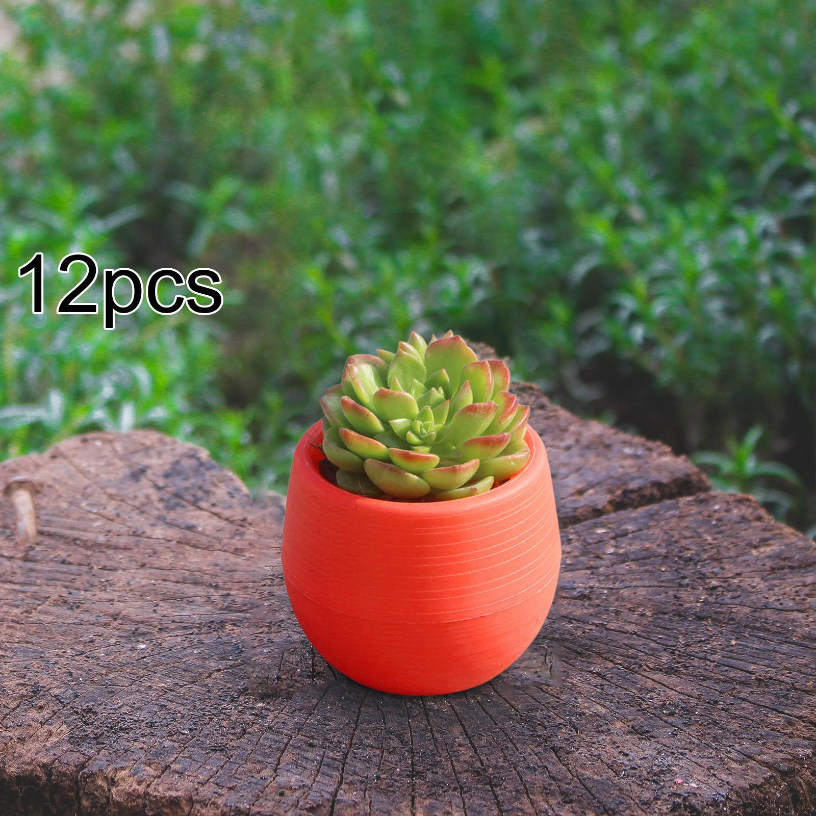 

12 Pieces Small Flower Pots Containers Multifunctional Plant Planters for Indoor Plants Office Red