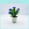 Artificial Gossampinus Malabarica Decorative Flower Pot With Plastic Flowers For Home Decor