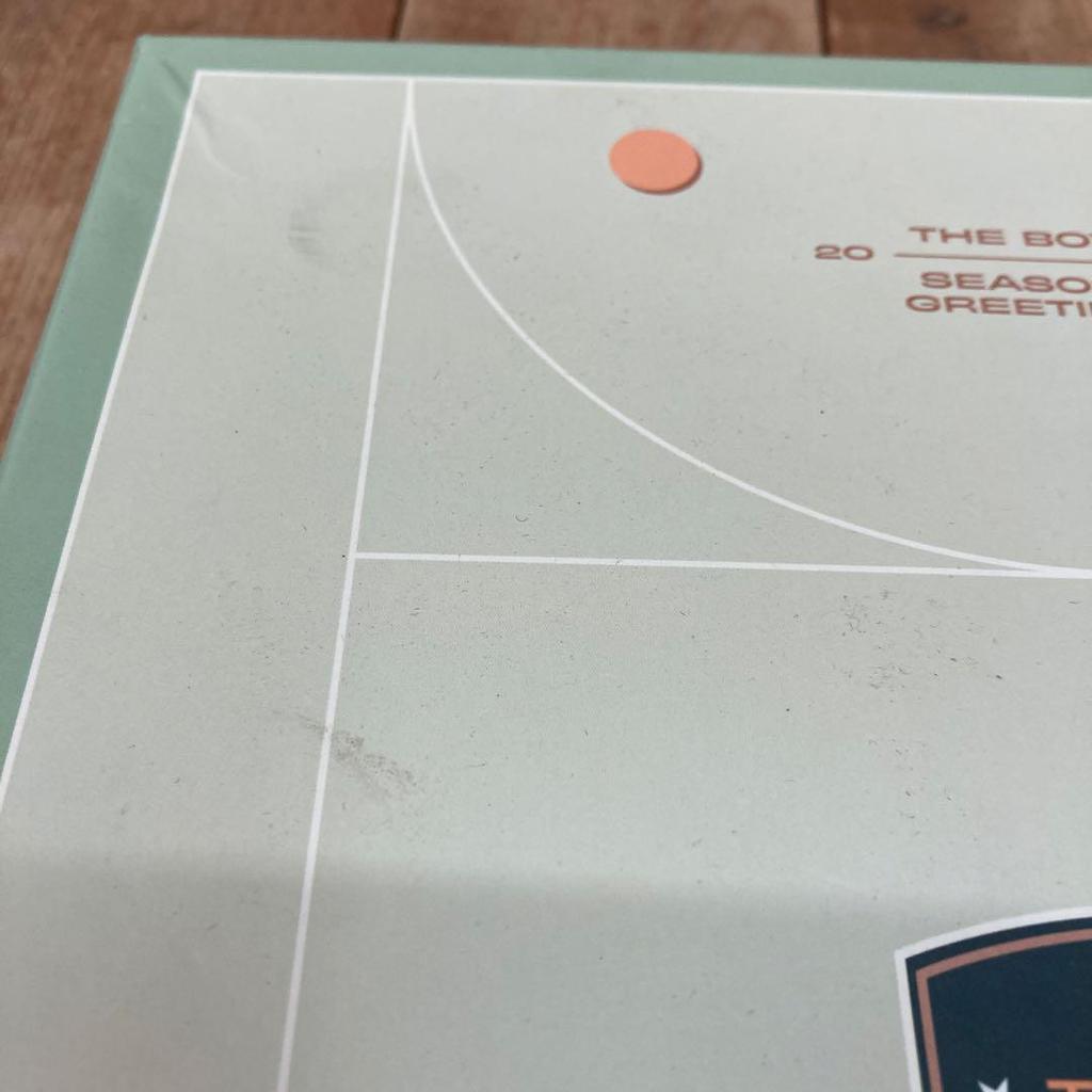 [USED] THEBOYZ 2022 SEASONS GREETINGS Seagull