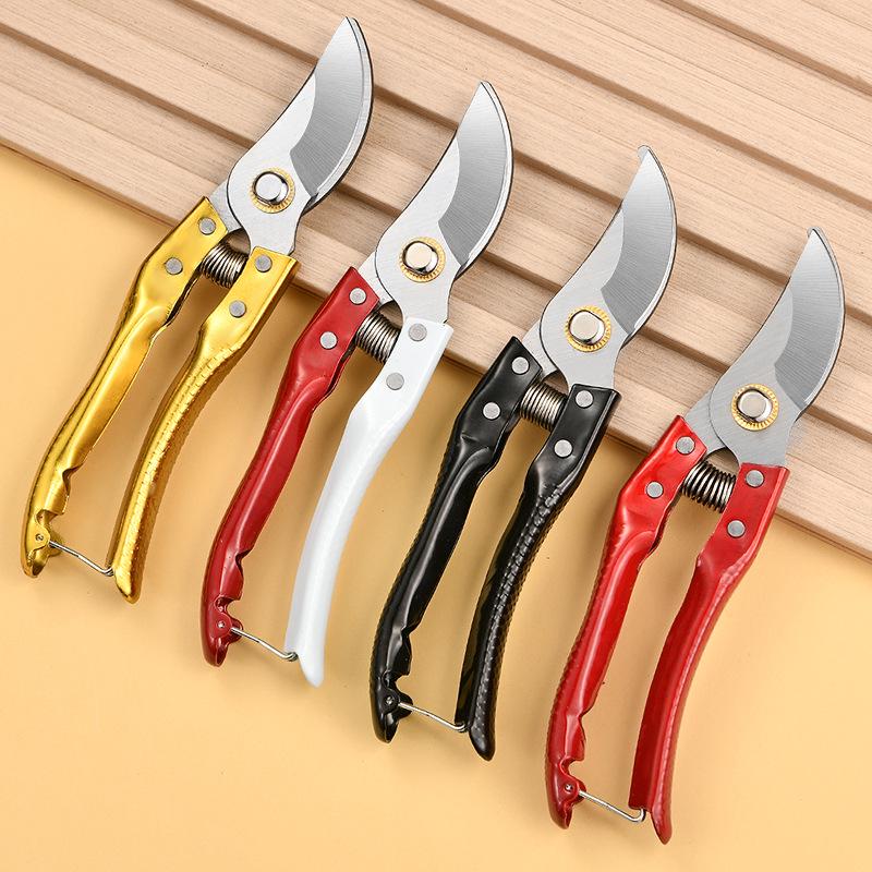 Floral Art Fruit Tree Pruning Shears - Specialized Garden Scissors for Branches and Flowers