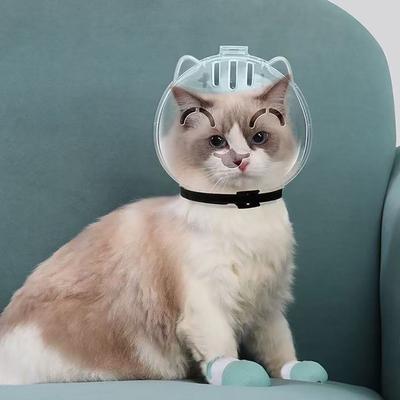 Kedi – Kedi bakım ürünleri