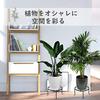 Lewondr Flower Stand, Iron Planter Rack with Cat Legs, for Houseplants, Gardening, and Plant Pots, 100lb Weight Capacity, Rattan Style, Suitable for I