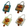Pet Cat Carriers Lion Design Draagbare ademende tas Katten Hondendraagtassen Uitgaande reizen Huisdieren Handtas met veiligheidsrits