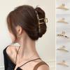 Einfache Damen Haarspange mit Aurora-Marmor und Perlmutt
