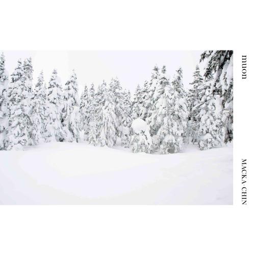 

CD MACKACHIN muon PCD25350 PVINE 2022 Japan Obi Japanese Club Dance