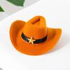 1 Set Kat Cowboy Kostuum, Verstelbare Cowboyhoed En Retro Bandana Sjaal, Schattige Kat Cowboy Outfit voor Katten Kleine Honden, Westelijke Stijl Huisdier Accessoires
