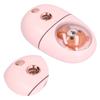 Beauty Sprayer Pink Portable Moisturizing Hydrating ColdType NanoLevel Hydrating Instrument for Home