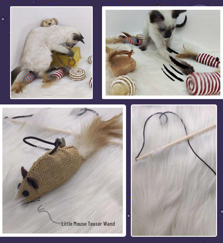 Boredom Relief Teething Mouse Teaser Wand & Self-Play Ball Kitten Toy Set