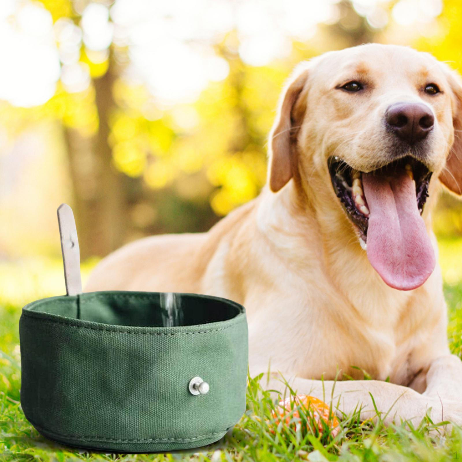 Bowl Multicolour Choices Expandable Canvas Portable Dispenser Foldable Pet Eating Dish Water