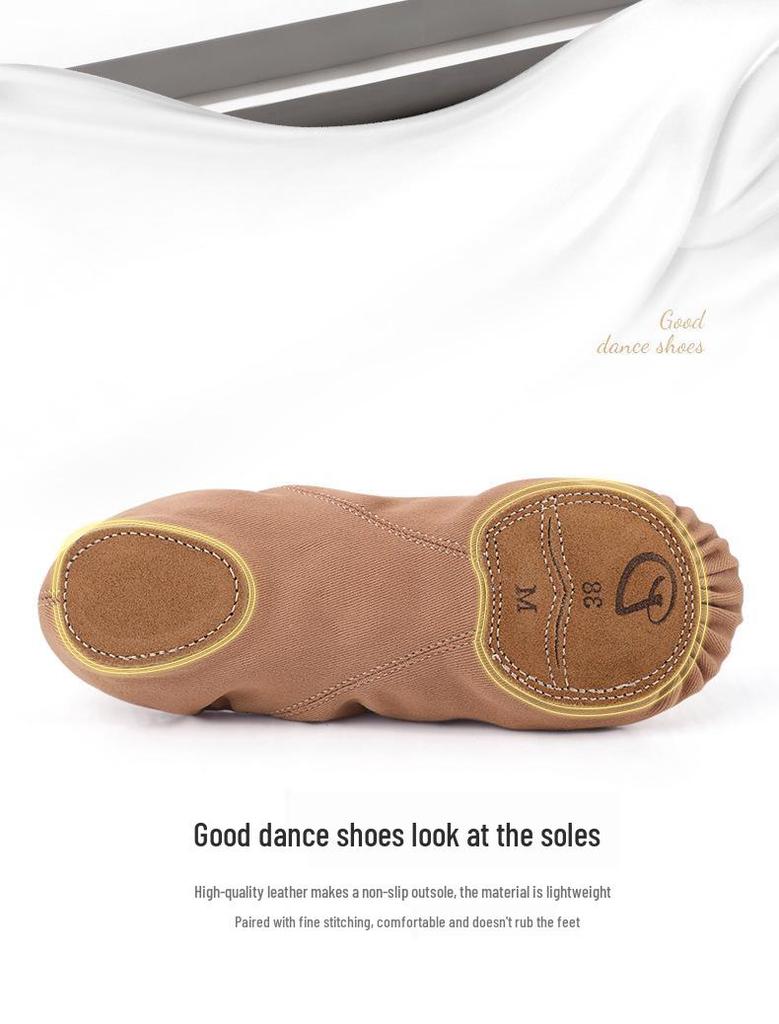 Women's Soft Sole Dance Shoes - Classical Chinese Ballet Practice Shoes for Children and Adults