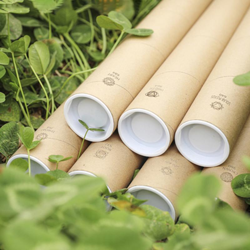 Colorful Musical Bells Metal Wah-Wah Tube Sound Healing Wind Chimes Professional Chakra Meditation Percussion Instrument