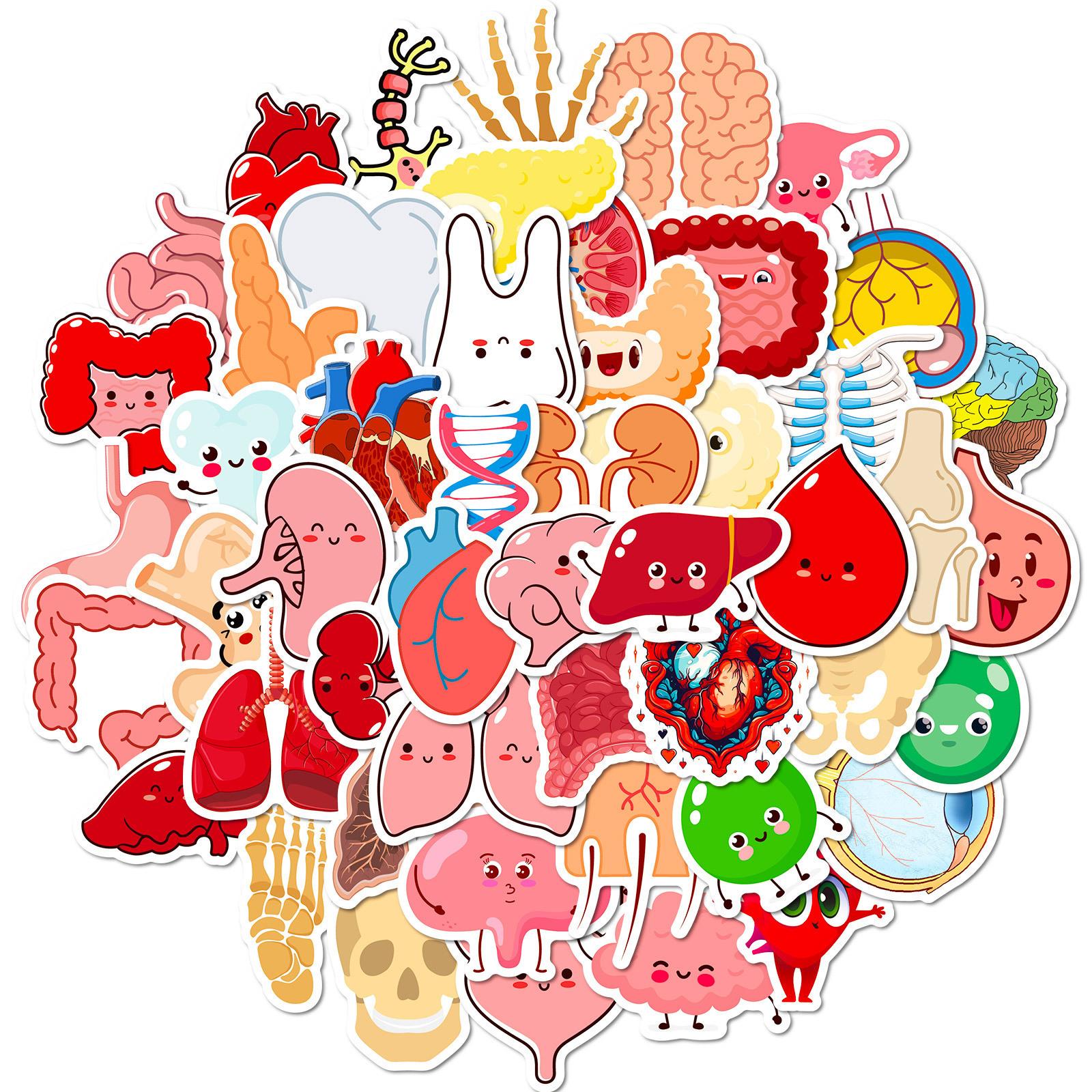 

50 Cute Human Organ Stickers for Decorating Cartoon Human Organ Children s Early Education Stickers
