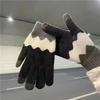 Winter Velvet Thickened Cotton Warm Windproof Cold Knitted Wool Cute Touch Screen Gloves Female Winter Lady Five Fingers