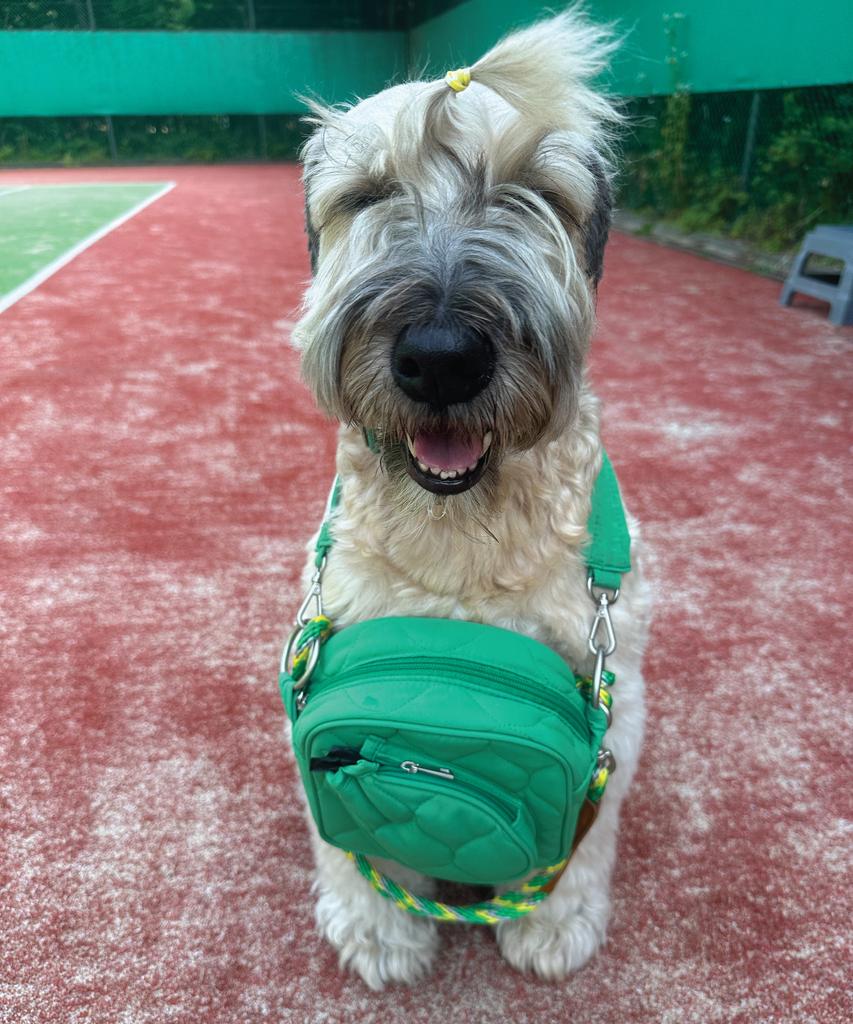 Heyjud Soul Bag Soul Bag (Soul Green)