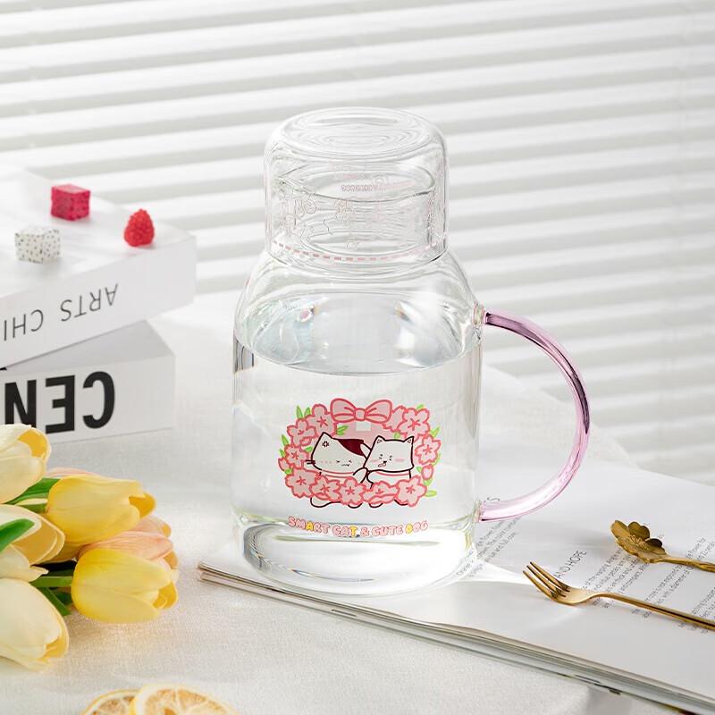 Glass Kettle and Cup Set