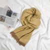 New Fashion Imitation Cashmere Women Tassel Plaid Scarf Autumn Winter Warm Shawl Long Wrap Outdoor Female Thick Blanket