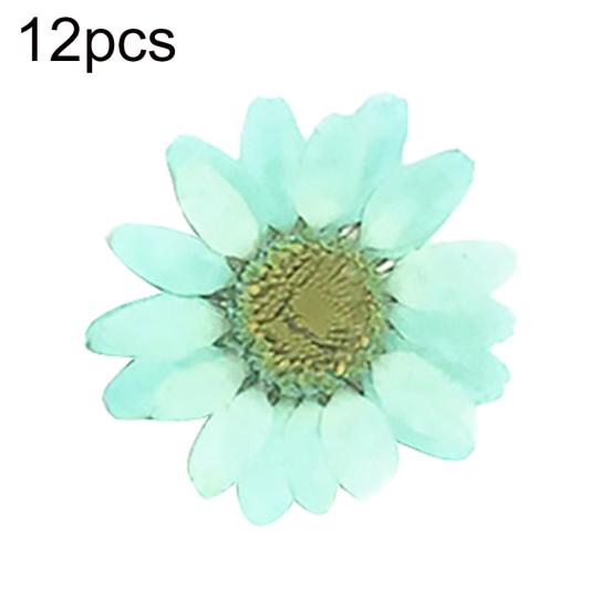12 sztuk Prasowane Suszone Naturalne Kwiaty Żywica Epoksydowa Crafting Paznokci DIY Dekoracja Telefonu